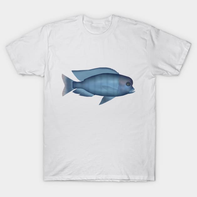 Blue Dolphin T-Shirt by FishFolkArt